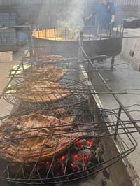 سمك مسگوف • شوي كامل • المسيب