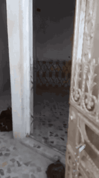 بيت للايجار في العماره
في منطقه الدبيسات مقابل كراج بغداد
100متر طابقين نضيف 
السعر:  350
الاتصال: ‏‪***********‬‏
