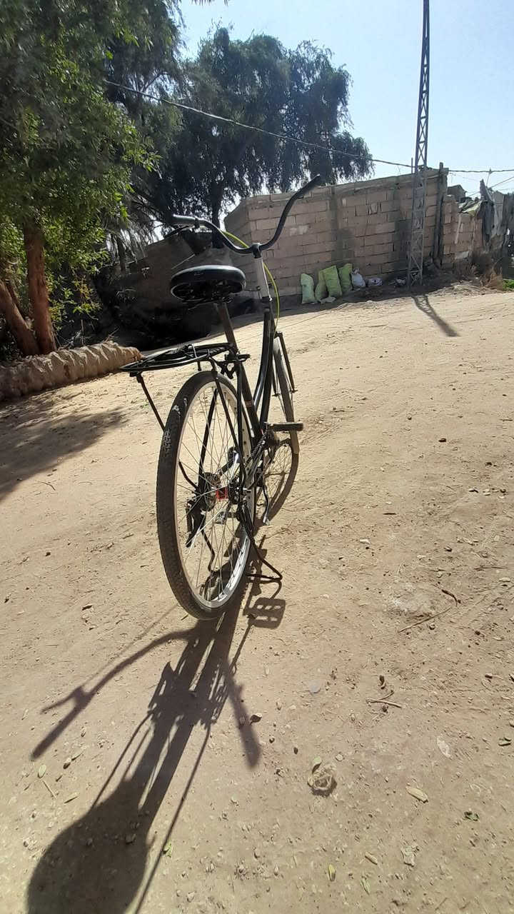 للبيع 50 وبي مجال شراي يجي خاص


**إذا كنت صاحب هذا الإعلان وتريد حذفه لأي سبب، رجاءا أرسل رسالة إلى الدعم الفني**