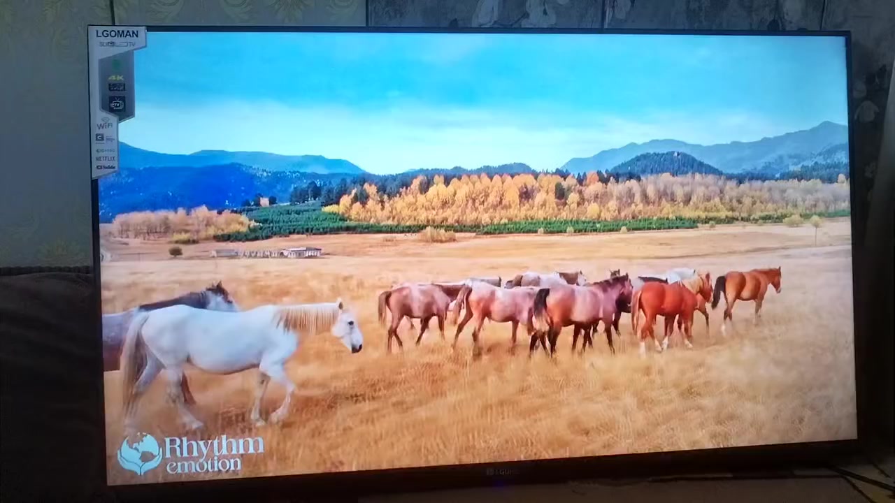 السلام عليكم بلازما حجم 43 LG UHD مستخدمه قليل جدااا بعدها بالكارتونه نت فول مواصفات اندرويد 15 بغداد مدينة الصدر/السعر 165


**إذا كنت صاحب هذا الإعلان وتريد حذفه لأي سبب، رجاءا أرسل رسالة إلى الدعم الفني**