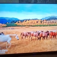 ٤٣ بوصة • LG • أندرويد ١٥