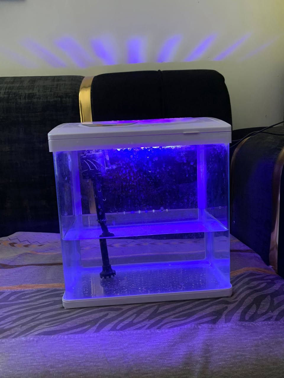 للبيع حوض أسماك بحالة جيدة جداً، مزود بإضاءة LED داخلية وفلتر ماء، مناسب لتربية أسماك الزينة وإضافة لمسة جميلة للمنزل أو المكتب.
✅ إضاءة LED ✅ فلتر داخلي ✅ حالة جيدة ✅ جاهز للاستخدام
السعر 30 وبيه مجال


**إذا كنت صاحب هذا الإعلان وتريد حذفه لأي سبب، رجاءا أرسل رسالة إلى الدعم الفني**
