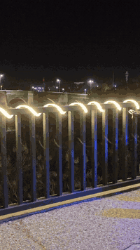 السلام عليكم دراجه نامي برو موديل 21 اي نقص مابيه دراجه خير من الله مستعجل على بيعته الي مو شراي ليدوخني متواجد.  ***********
