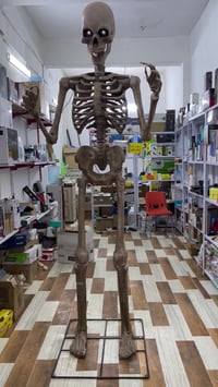 هيكل عملاق • مترين ونص • مع كارتون