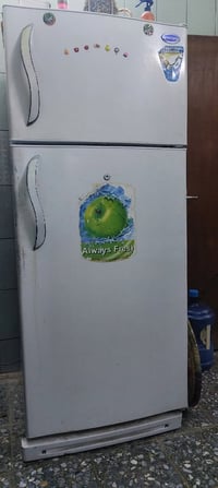 كون كورد • حجم كبير • حالة جيدة