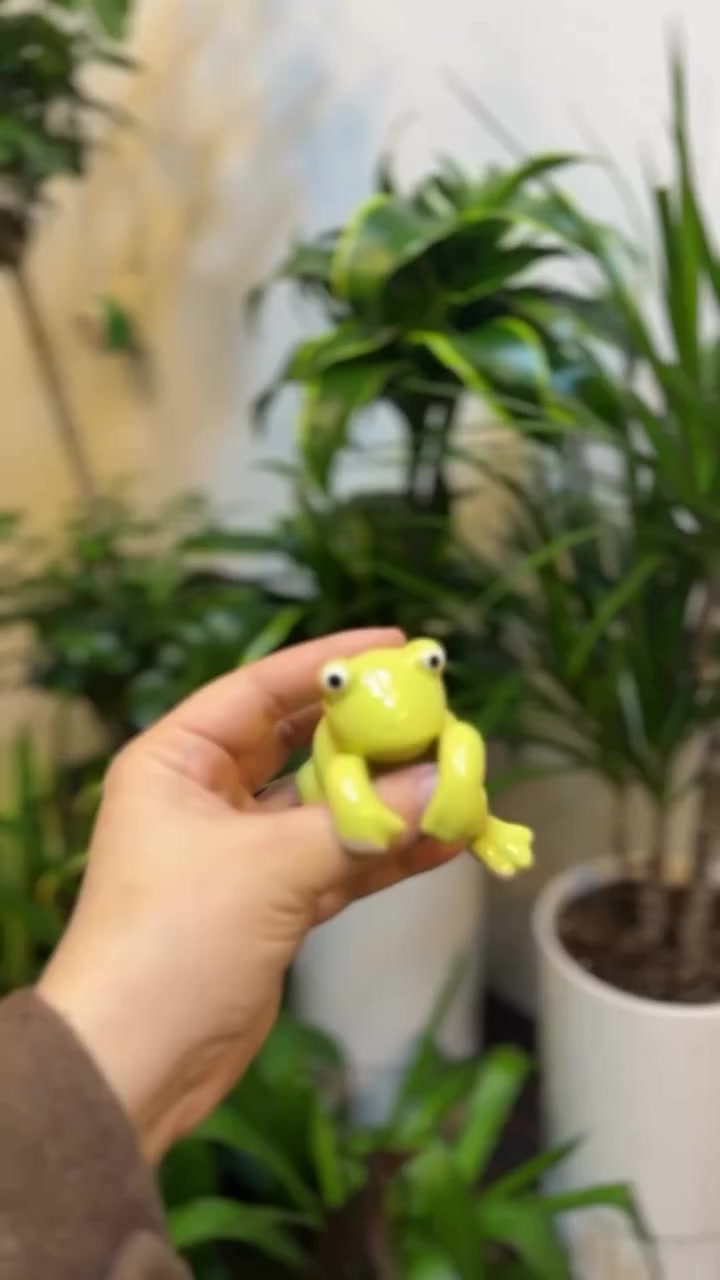 مو كل ضفدع ينحط ع السندان…

هذا مو ديكور.
هذا تفصيل يغيّر إحساس المكان بالكامل. 🐸🌿

تخيل زاويتك هادئة…
نبتة مرتبة…
وفجأة ضفدع لامع جالس بينها
وكأنه يحرس الجمال ✨

قطعة صغيرة،
بس تسوي هيبة، حركة، وروح بالمشهد.

إذا تحبين التفاصيل الغريبة الراقية
فهذا الإكسسوار معمولكم#بغداد #اكسبلور #نبات #نباتات #موصل_بغداد_اربيل_بصره_سليمانيه_كركروك_العراق_عراق


**إذا كنت صاحب هذا الإعلان وتريد حذفه لأي سبب، رجاءا أرسل رسالة إلى الدعم الفني**