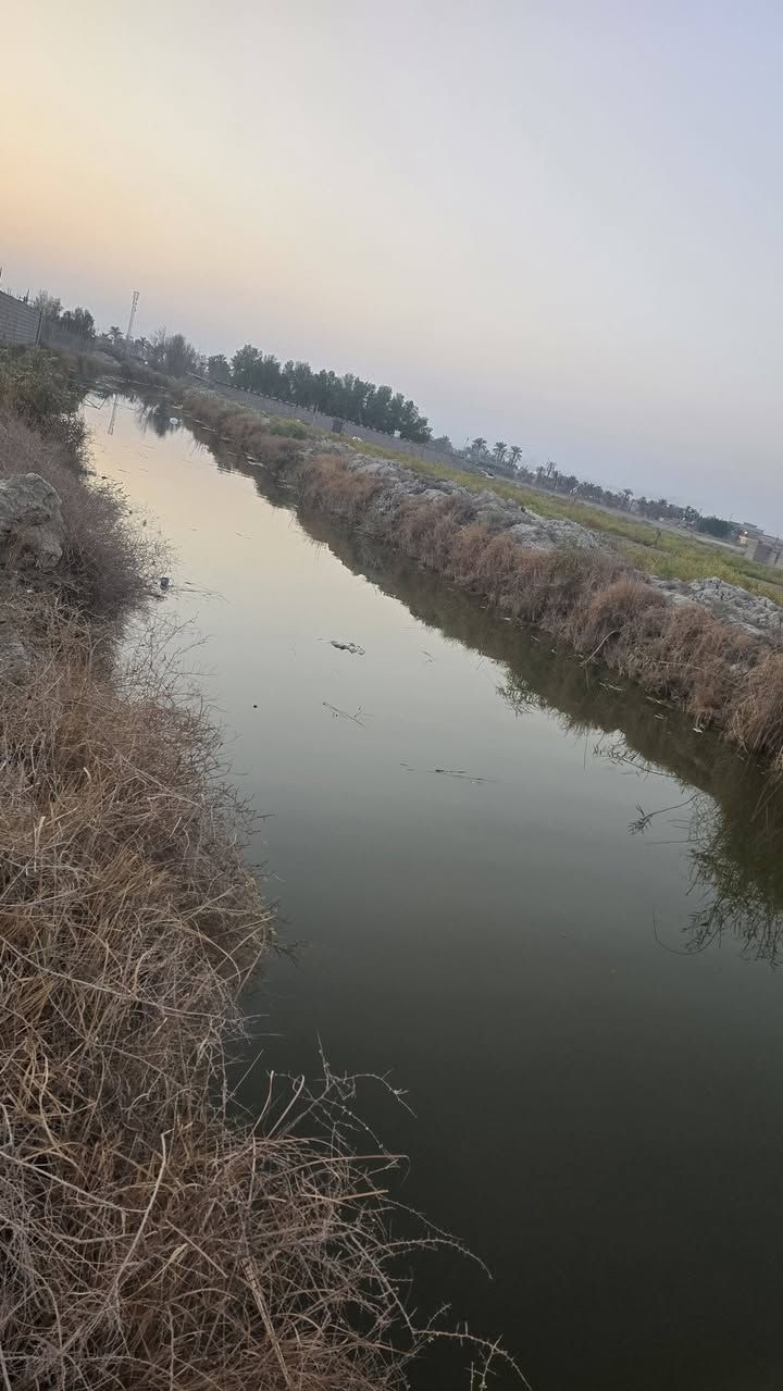 قطعه أرض للبيع مساحة 525متر طابو ملك صرف عرصه ليس زراعي  على شط فرع من شط العرب العنوان بصره أبي الخصيب منطقه باب العريض قريب على سوك جبير سعر جدا مناسب 38مليون ملحضه عرض شارع مال قطعه متر دوست رجل 🚶‍♂️ الشراي يتصل ***********
