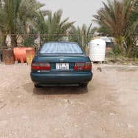 كورونا نفخ • موديل ٩٥ • نجف