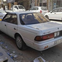 مارك عظم • مراوس • للبيع