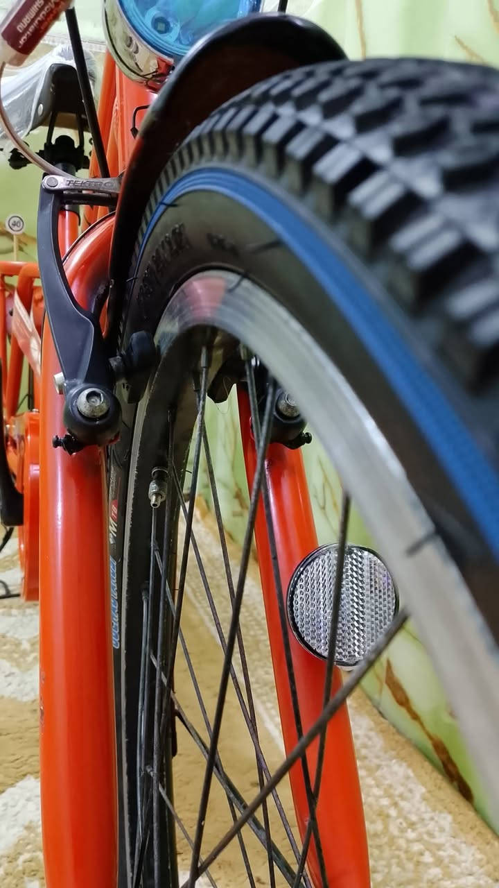 يا الله سلام عليكم بيسكل برجستون للبيع نضافه ميه بل ميه ياباني الشه الطويله 
بيسكل كارتون وعلي حساس لايت زنون سرج طبي 3 كير داخلي تايرات بل جيس بيسكل اوزان ***********او خاص وآسف عل اطاله 🌹
