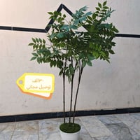 شجره شبو اصطناعيه زينه ٣٥ والتوصيل مجاني لحد باب البيت متوفر 078394111...