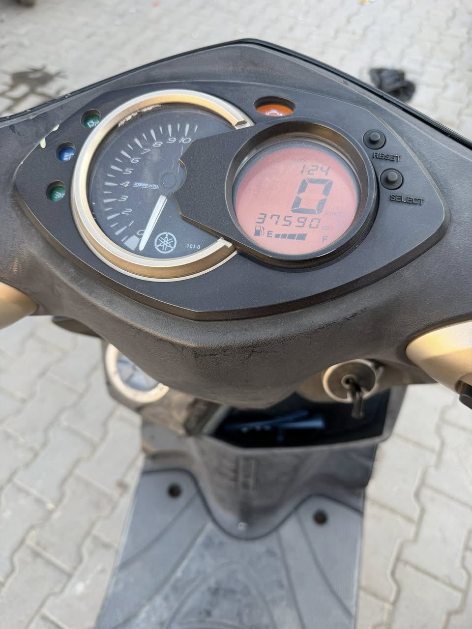 السلام عليكم
دراجه سكنس فحل وارد ياباني ام طلعات للبيع بيها وصل رمبه
دراجه جديده بمعنى الكلمه ما ناقصه اي شي و كلها بلاديه تجي تنكر سلف و تطلع 
للتواصل ***********
