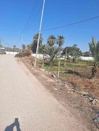 ٦ دوانم • طابو ملك • قضاء شط العرب