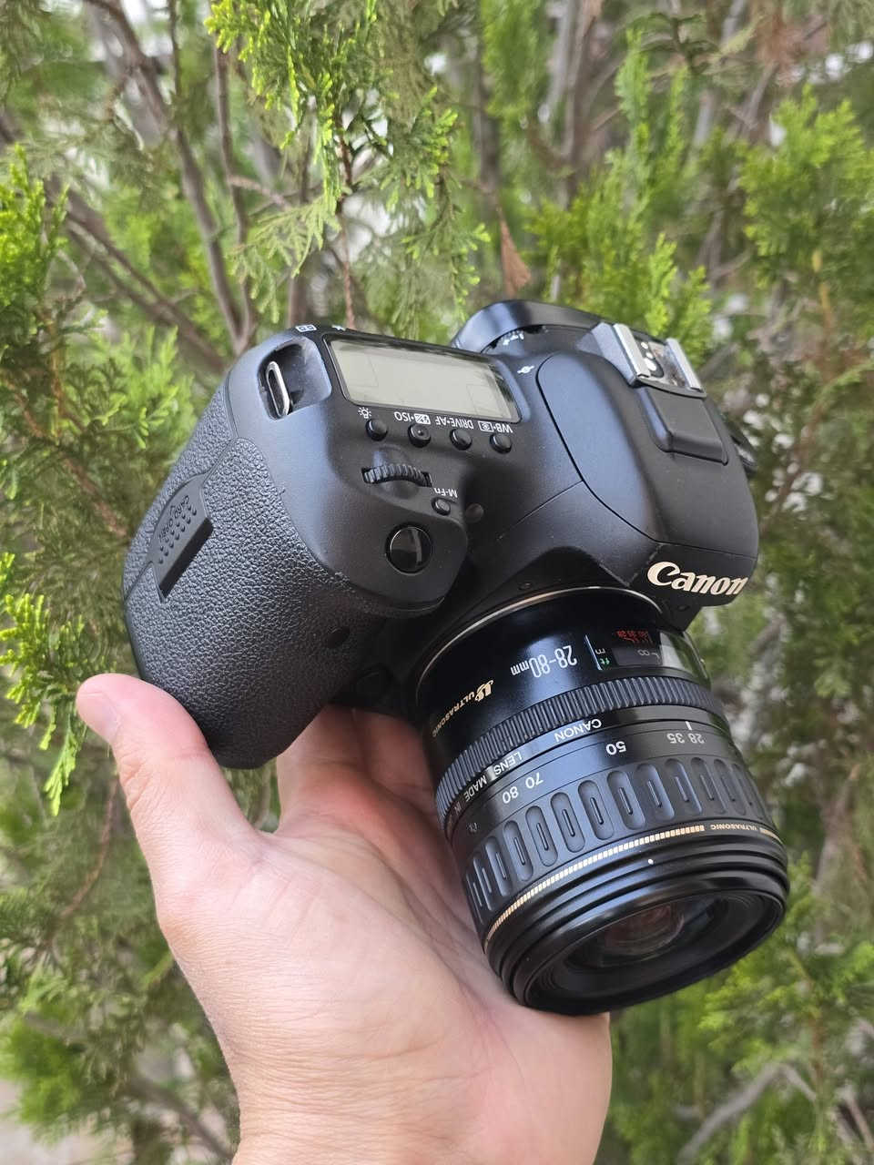 Canon 7DII
28-80 
للبيع 
كانون 7DII مع عدسة ٢٨-٨٠ و بطارية و شاحن أصلي و حزام 
نظافة ٩٥% 
شتر ٤٨
سعر ٥٨٠ ألف، توصيل متوفر.


**إذا كنت صاحب هذا الإعلان وتريد حذفه لأي سبب، رجاءا أرسل رسالة إلى الدعم الفني**