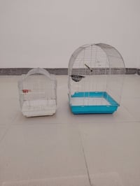 اقفاص • ثنين • كربلاء الشراي