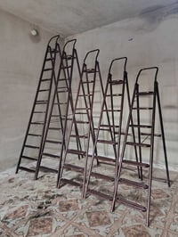 حلب الباب • بيتوتي