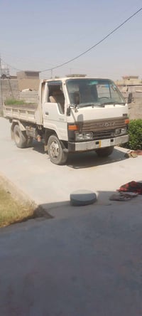 داينه تيوته فحل للبيع بيع مستعجل 07709961047