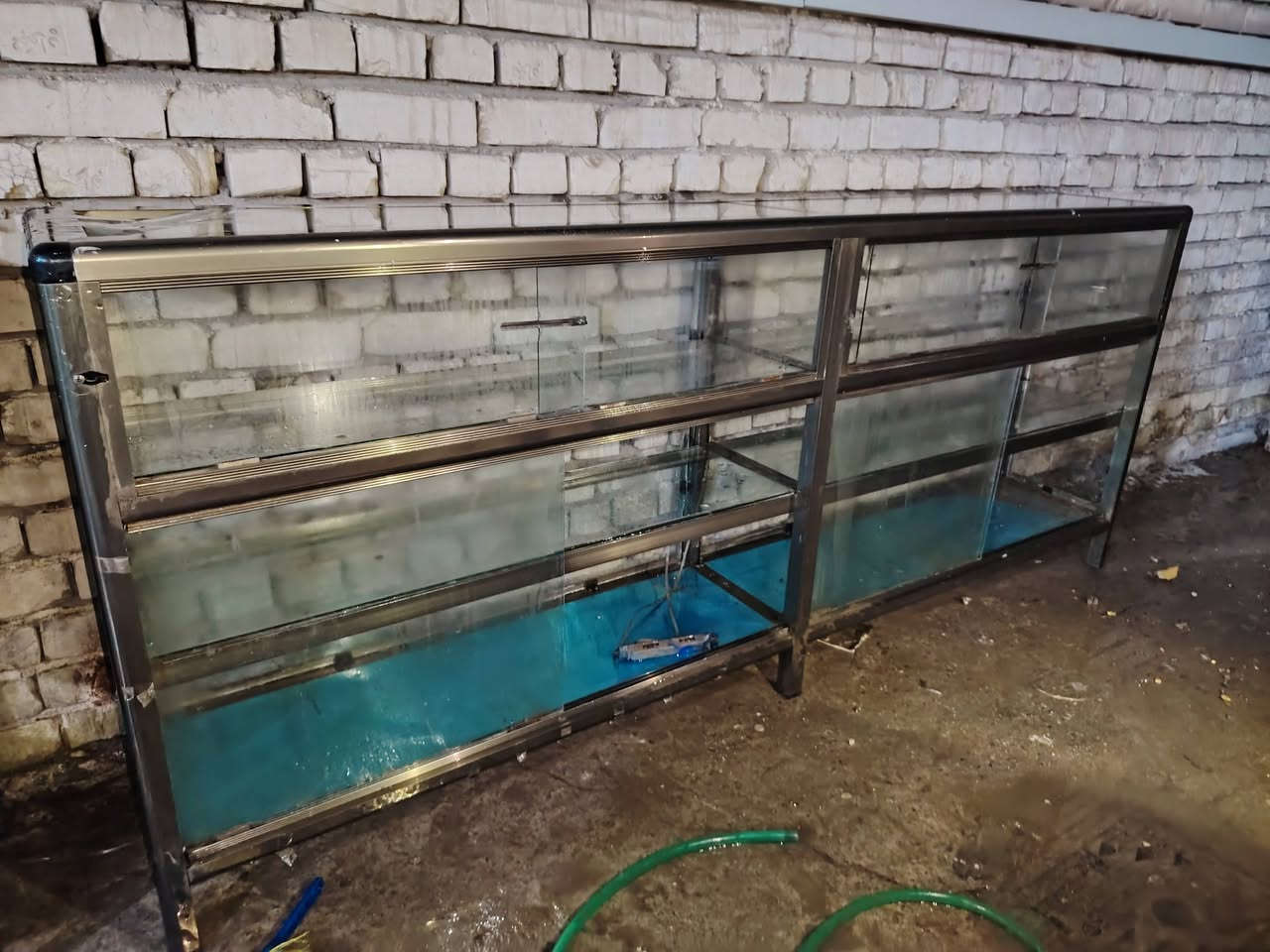 للبيع.... فاترينة المنيوم  عدد ٢....وحدة قياس ١٢٠سم العرض ٤٠سم الارتفاع ١متر ٣ خانات السعر ٧٥ الف.... وحدة قياس ٢٤٠سم والعرض ٤٠سم الارتفاع ١متر ٣ خانات السعر ١٥٠ الف علما ثنينهن بيهم جام سلايد خلفي حتى ميدخل تراب.... تصلح للاسواق... للكوزمتك... للصيدلية... للموبايل...


**إذا كنت صاحب هذا الإعلان وتريد حذفه لأي سبب، رجاءا أرسل رسالة إلى الدعم الفني**