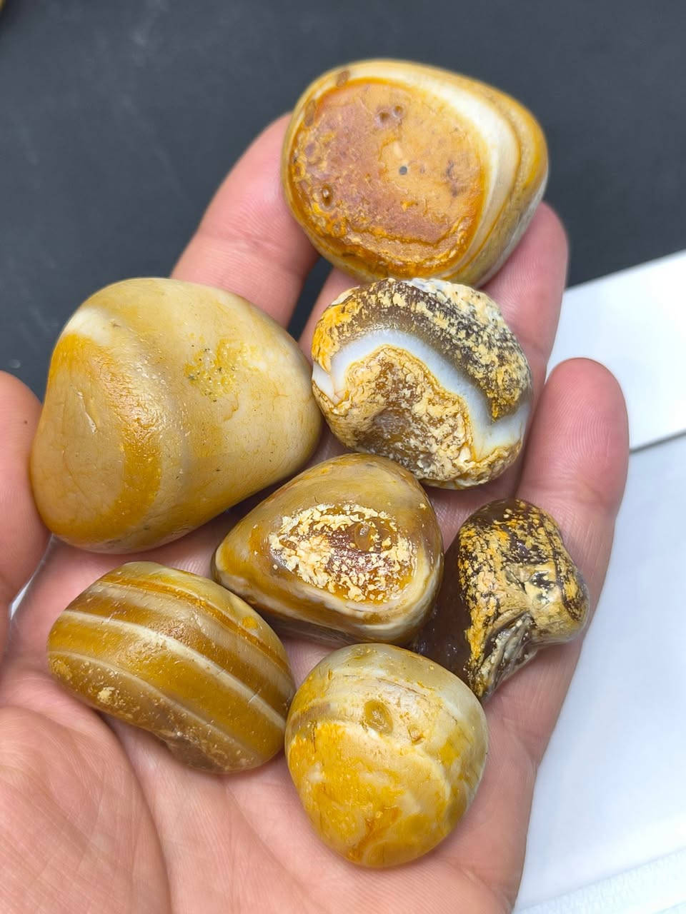 بند سليماني متكون من 7 قطع كلهن حلوات 
حط سعرك بالخاص واذا عجبني يصيرن الك


**إذا كنت صاحب هذا الإعلان وتريد حذفه لأي سبب، رجاءا أرسل رسالة إلى الدعم الفني**