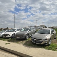 توكسن ابيض • ٢٠٢٤ • رقم اربيل