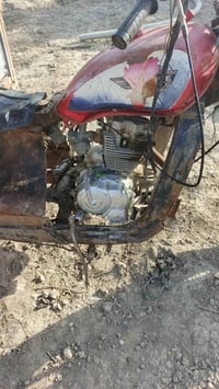 ستوته • محرك ٢٢ • بدون أوراق