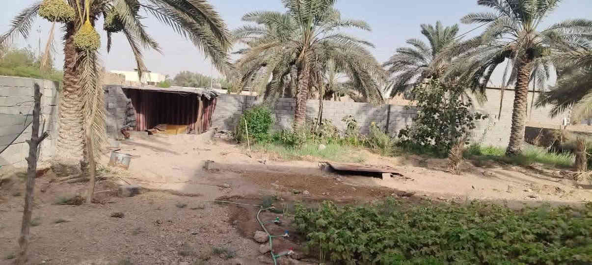 🟥 قطعة أرض للبيع – البصرة / أبي الخصيب 🟥
المساحة 530متر
الواجهة 25متر – النزال 20ونس
نوع العقار وقف سني أصولي

🌴 مزروعة نخيل برحي وبريم وأم دهن وأنواع مختلفة
🌲 سدار ونباتات زينة 🌺🌻🌷🌾🥀

🧱 مسيجة بلوك محكمة + باب سلايت
🛣️ شارع 7متر

📍 العنوان: أبي الخصيب / جيكور / شارع الميناء
✅ جميع الخدمات متوفرة (ماء، كهرباء، مدارس، جوامع)
قريب من ذهب أبو الخصيب القديمة

💰 السعر 38مليون وبيه مجال
📞 للاستفسار اتصال أو واتساب
***********
