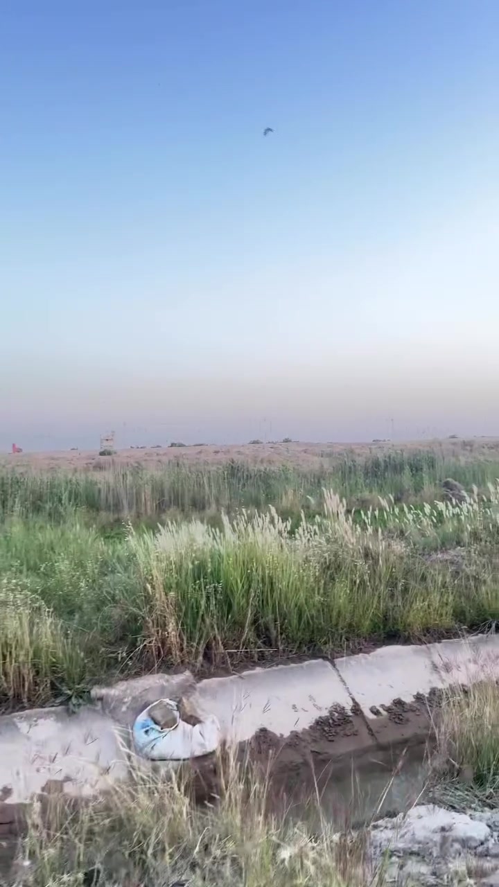 � فرصة استثمارية مميزة على ذراع دجلة مباشرة 🌊

ارض بمساحة 10 دونم
طابو زراعي سند 25 ✅
واجهة 150 متر × نزال 170 متر 📐

📍 موقع مميز جداً في التاجي مباشر على ذراع دجلة
🚧 شارع بعرض 10 متر
⚡ كاملة الخدمات من ماء وكهرباء
🌴 مناسبة للاستثمار، المشاريع السياحية، الاستراحات او السكن الريفي الفاخر

ارض تجمع بين الموقع الحيوي والطبيعة الهادئة بإطلالة مباشرة لا تتكرر ✨
سعر الدونم 35 مليون 

للاستفسار الاتصال او المراسله واتساب على الارقام ⬇️
*********** - ***********

