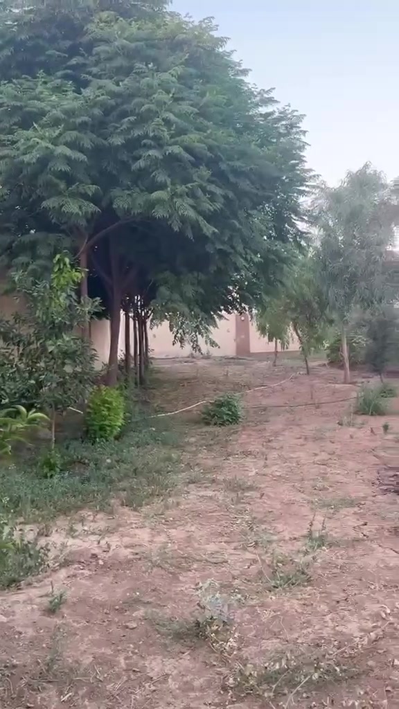 مزرعة للايجار ب ١١٠ الف للشفت الواحد بالموصل ***********
م:الشفت ١٢ ساعة
