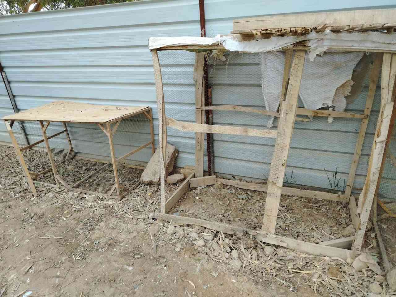 متوفر ٤ اقفاص هل كوم للدكلي شبيهن مابيهن خشب نضيف بس يحتاجلهن ترتيب ب٤٠
مكان طارميه
***********
