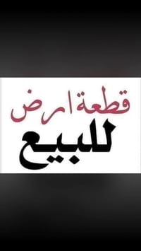 يوجد قطعه أرض للبيع قرب الجزيره السياحيه الباب 3 شارع الكبيسي المساحه ...