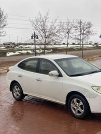 النترا • ٢٠١٠ • بدون صبغ