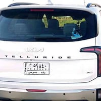 تيلورايد ٢٠٢٣ • ٦ سلندر 3800 • ضرر خلفي