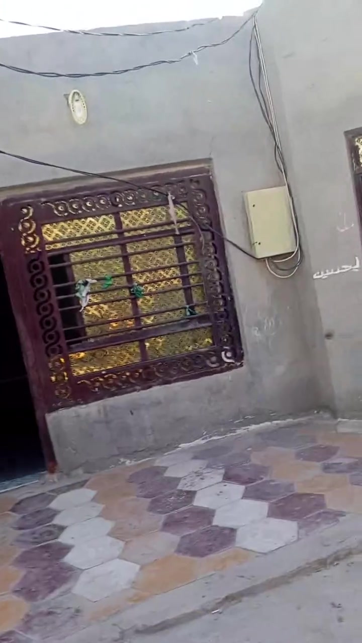 دارللبيع زراعي مساحه 250م تبعدعن شارع 150م للستفساراتصل ع هاذه رقم‏‪0783 181 5537‬‏
