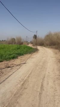 أرض • ٢٥٠٠م • الحمزة العلاك