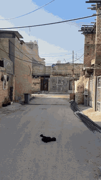 الدسيم • ٦٥م • قطاع ٧٢