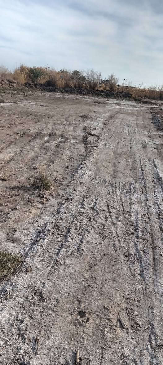 قطعة ارض زراعية مساحتهه 2دونم و 500متر طريق المشايه قريبه عالتبليط ماء اساله وكهرباء  قريبه وماء سقي الاستفسار اتصل على الرقم التالي ***********او عالتعليق اراسلك خاص ومن الله التوفيق
