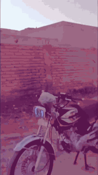 سلام عليكم 
تايكر سولنك للبيع 
TIGER SONLINK  
دراجه موديل 2025 
تايكر سونك الاصلي باب اول ختم ونجوم بعدها على وضع الشركه
صار 6 اسابيع من طالعه من الوكيل 
اوراق كامله 
دراجه كامله مكمله
كهربائيات كلشي شغال 
محرك مكفول ما مفتوح 
دراجه خير من الله شلعه ومعدل ✈️✈️
كلشي ما ناقصه دراجه مال جناي 

مواصفات:
- بصمه وسويج
- بريك امامي دسك عنبار زيتي 
- وكلج عنبار زيتي 
- تشغيل عن بعد
- حساس سرقه
- تشغيل بصمه سويج
- MB3 بلادي
- شاحن YSB خارجي
- دشبول الكتروني 
- دشبول شغال
- كهربائيات شغاله
- لايت عدسه عالي + ناصي + سكن لد 
- بك لايت لد شكل الحديث 
- اشاير أيضاً لد شكل الحديث 
الدراجه كاملة على اخر حبايه 
سعر 725 وبيه مجال 
مكاني بابل محاويل 
رقمي ***********
واي استفسار تفضل اتصل وميكون خاطرك اله طيب 🤝
