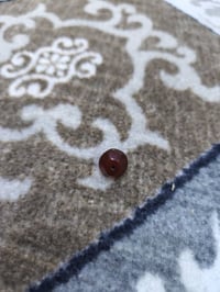 دركه يمانيه • قديمه • اصل