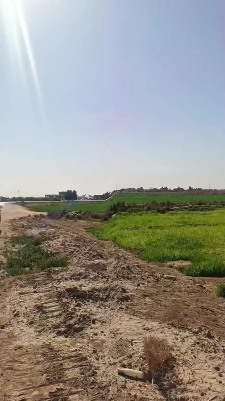 🌾 أرض زراعية للبيع
━━━━━━━━━━━━━━━━━━━━
📐 المساحة: 13 دونم
📜 السند: طابو زراعي – سند 25
━━━━━━━━━━━━━━━━━━━━
📍 الموقع: بابل – الطريق الدولي
منطقة البو منصور
• تبعد عن ناحية النيل 5 كم باتجاه البصرة
• تبعد عن الطريق الدولي 1 كم
━━━━━━━━━━━━━━━━━━━━
🌱 تفاصيل الأرض:
• الأرض مزروعة حنطة حالياً
• وجود جدول سقي خاص بالأرض
• توفر ماء وكهرباء
• قريبة من المدارس
• منطقة سكنية زراعية
• شارع تبليط واصل للأرض والمنطقة
━━━━━━━━━━━━━━━━━━━━
🏗 تصلح لـ:
• مشاريع زراعية
• حقول
• مخازن
• مزارع
• أو سكن
━━━━━━━━━━━━━━━━━━━━
💰 السعر:
35 مليون للدونم
━━━━━━━━━━━━━━━━━━━━━
📞 لــلــاســتــفــســار والــاتــصــال
🏢 مــكــتــب عــقــارات أَبــراج بــابــل:
• ***********
• ***********
🏢 مــوقـــع الــمــكــتــب:
📍 بــابــل – حــي الــجــزائــر – مــقــابــل الــجــســر الــدولــي
━━━━━━━━━━━━━━━━━━━━━━
