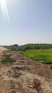 ١٣ دونم • بابل الطريق الدولي • طابو زراعي