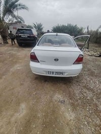 صني • ٢٠٠٩ • النجف