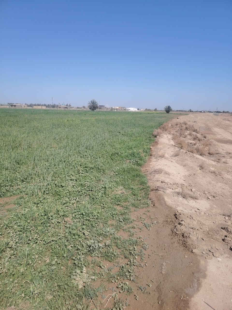 ارض زراعيه  سند 25 دونمين ونص قرب العلويه  شريفه  جه مزرعه النخيل  
***********
