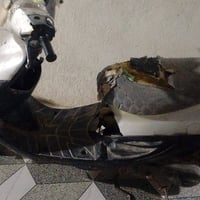 دراجه البيع مكينه ما مفتوحه ابد بلاد متروكه كلشي معاوزه تجي وتفحص وتشو...