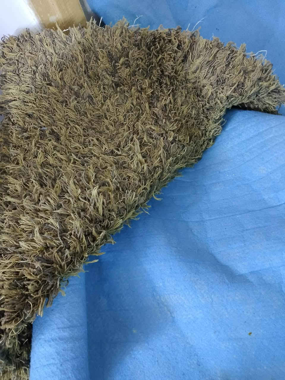 كاربت ثنين قياس 3×4 سعر 50
عنوان الراشديه البدعه


**إذا كنت صاحب هذا الإعلان وتريد حذفه لأي سبب، رجاءا أرسل رسالة إلى الدعم الفني**