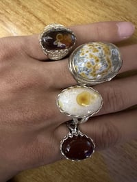 روديوم • محابس • كربلاء