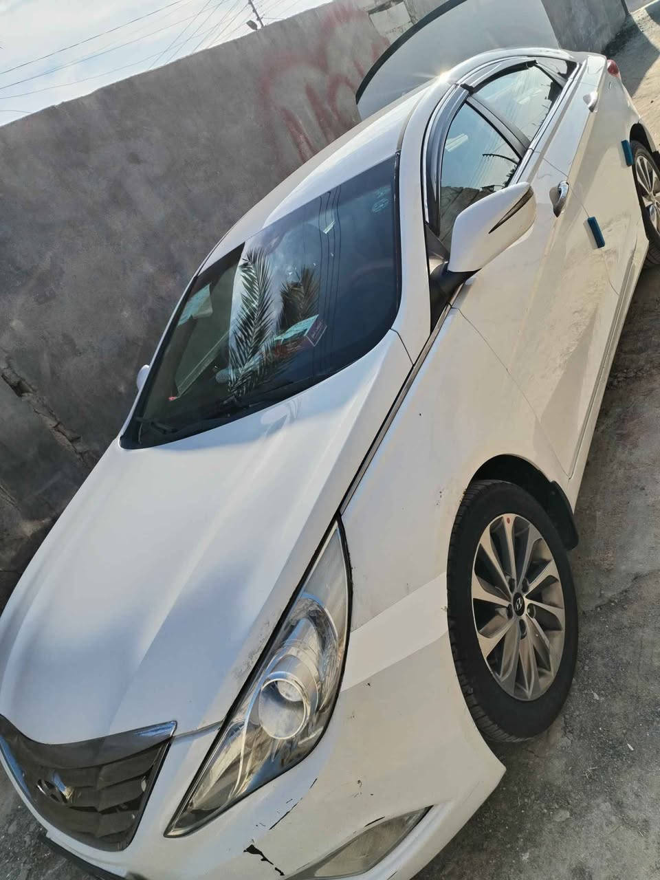 سوناتا 13خليجي رقم اربيل مكينه 2.400دوش فاتح كازكيت خير من الله كير ومكينه كفاله لا تنقيص ولا تبخير سونار موجود مع الصور بيها ضربه سطحيه بل مقدمه عل اثرها نصبغ خشم جاملغ والبنيد تبريد شغال فول مسوي 250 الف قبل فتره باتري جديد شاشه جديده لايت زنون ثلجي سنويه لل 2028 بسم شركه بنسبه للتحويل اي ابو معارض يجيبلك وكاله تعرفون هل شي بس اني محتاج ومستعجل واريد ابيع السعر 113 وبيها حك جيه ماكو هيج سعر والله بس محتاج وريد ابيع العنوان بصره الدير *********** البصرة, العراق
