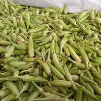 حجز • واتساب