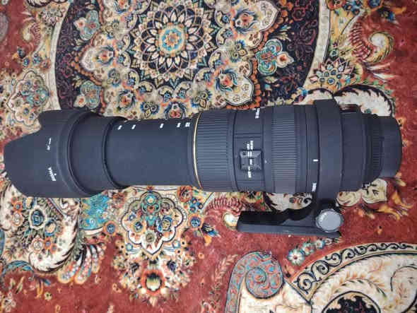 اعاده نشر
زوم رياضي 50_500 فتحة f4  سيكما للنيكون
نضافه شوفه عينك اخو الجديد
650 الف توصيل ماعدي مكاني ديوانيه تواصل واتساب فقط ***********
