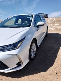 كورله • ٢٠٢٤ • رقم اربيل