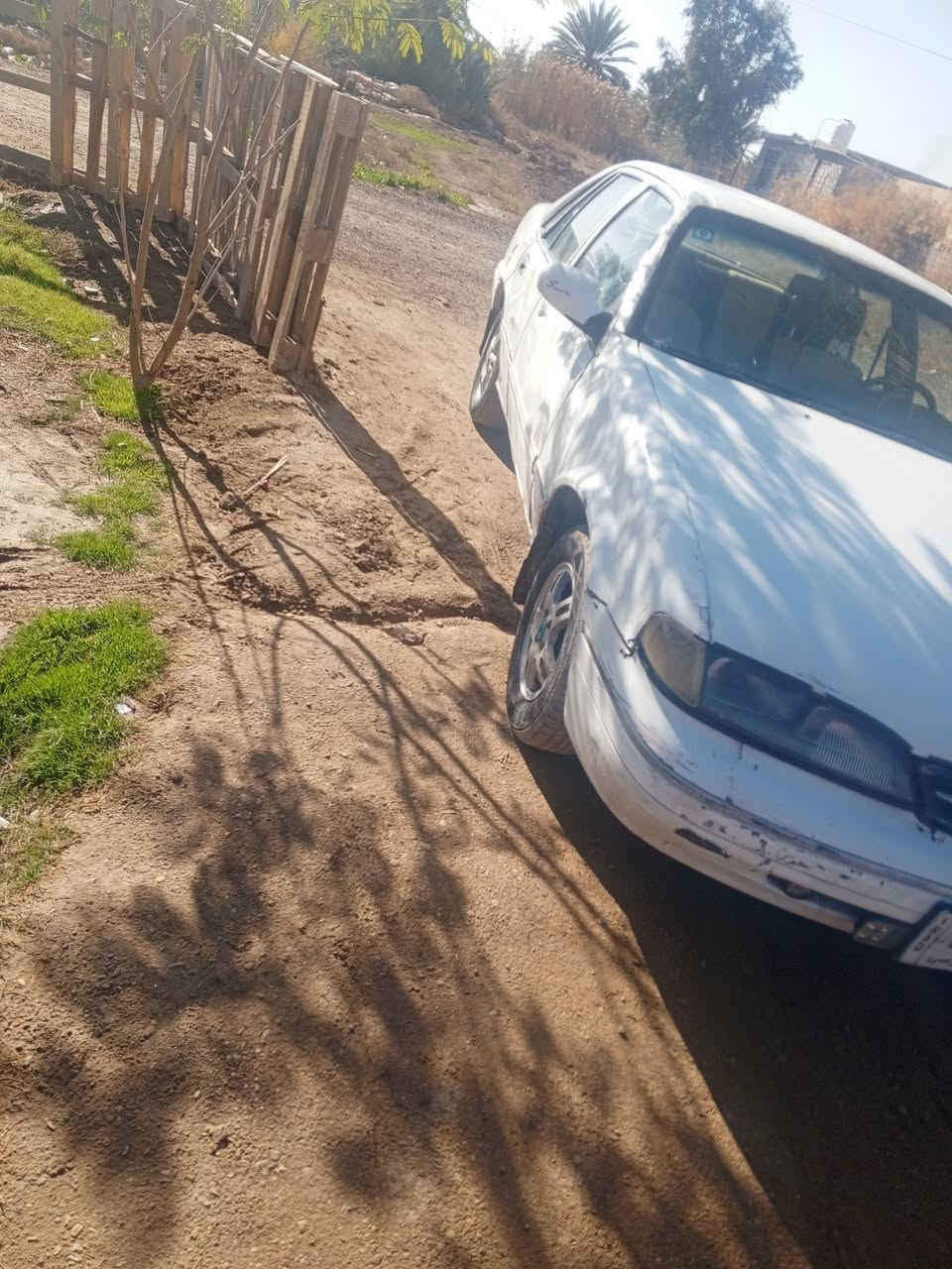 سلام عليكم برنس 96 ماحراك واكير شوصي كهربيات كل مكفوال تخم تاير ويل كب كير عادي ماحراك مفتواح سنويه 29 سعر 27وبيها مجال مكاني بغداد المحموديه تصال عل رقم 
***********
***********
